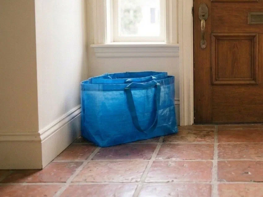 Skip the Viral Tote - I Carry the IKEA FRAKTA